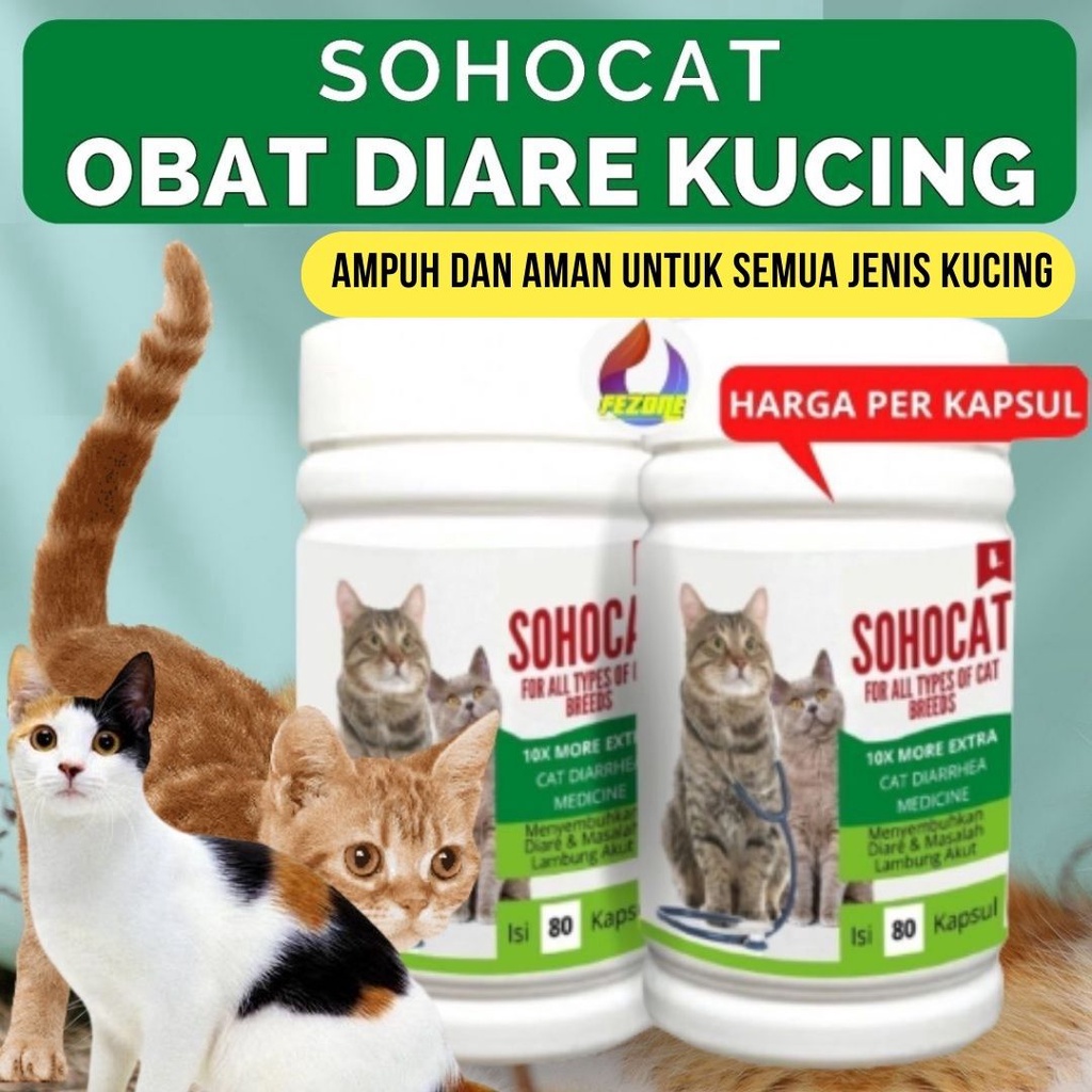 Obat Diare Mencret Kucing Eceran Terbukti Ampuh dan Aman Untuk Semua Jenis Kucing FEZONE