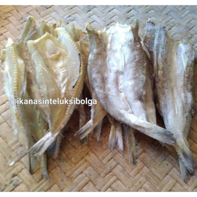 

250 gr ikan asin palu palu favorit termurah kualitas terbaik sibolga