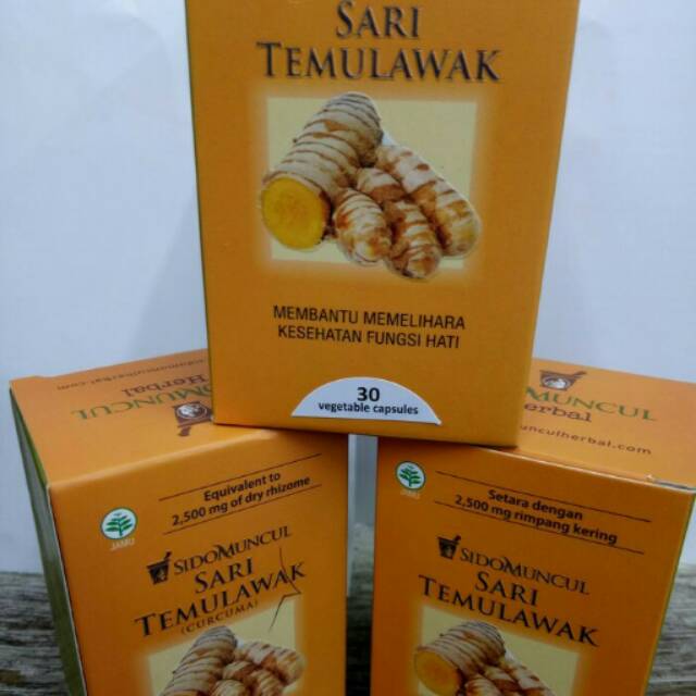 SARI TEMULAWAK