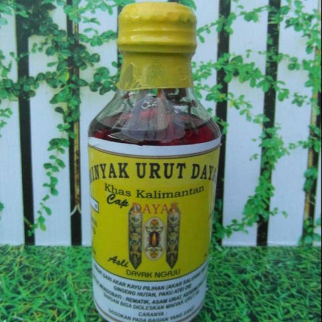 

Minyak Urut Dayak Membantu mengobati Penyakit strok, rheumatik