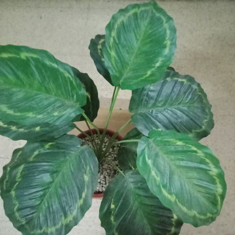 TANAMAN HIAS PLASTIK UKURAN BESAR