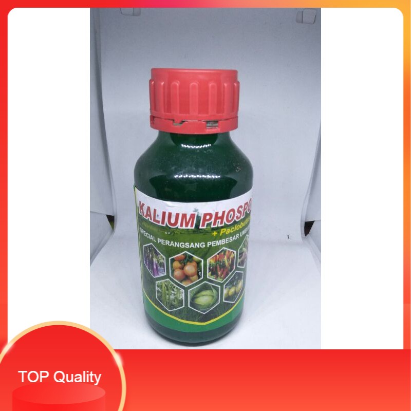 Pupuk Cair Kalium Phospor + Paclobutrasol murah