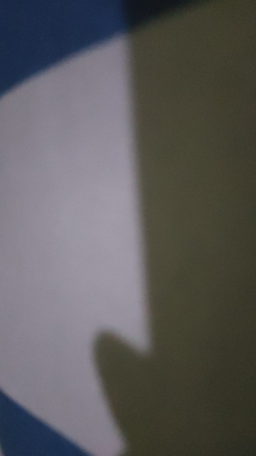 Paket Bantal Guling Whale Paus Tinytan Bts Bt21 Unofficial