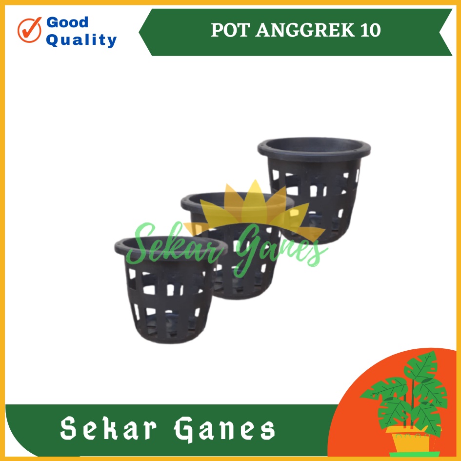 LUSINAN Pot Anggrek  Orchid 10 Hitam Isi 12 Pcs TERMURAH GROSIR Pot Anggrek 10 Lusinan Hitam Murah