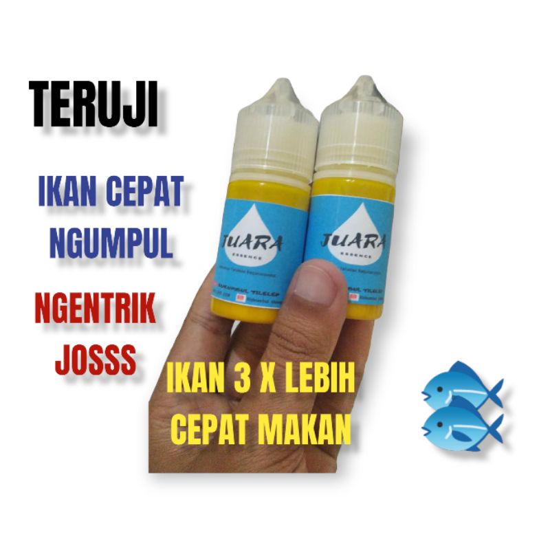 Essen Gacor Untuk Lomba Mancing Ikan Mas Harian, Essen Paling Bagus Untuk Mancing Ikan Mas, Essen Terbaik, Essen Ikan Mas Terbaik, Essen Ikan Mas Paling Bagus Untuk Lomba Mancing, Essen Ikan Mas Galapung, Essen Ikan Mas Untuk Hanyiran