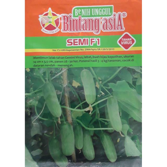 SEMI F1 20 gram Benih Timun Beby Hibrida - Bibit Timun Bebi Benih Bintang Asia