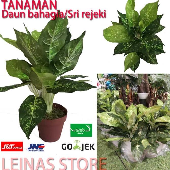 TANAMAN POT ARTIFICIAL SRI REJEKI/DAUN BAHAGIA