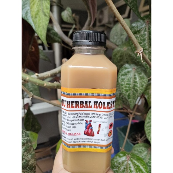 

JAMU KOLESTOL