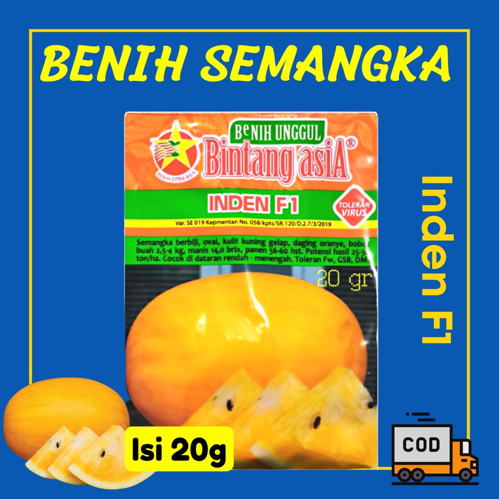 Bibit Semangka Benih Semangka Inden F1 Inul Bibit Semangka Bintang Asia Hibrida Kulit Kuning Kemasan