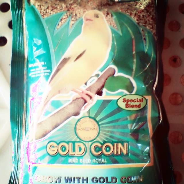 Gold coin kenari