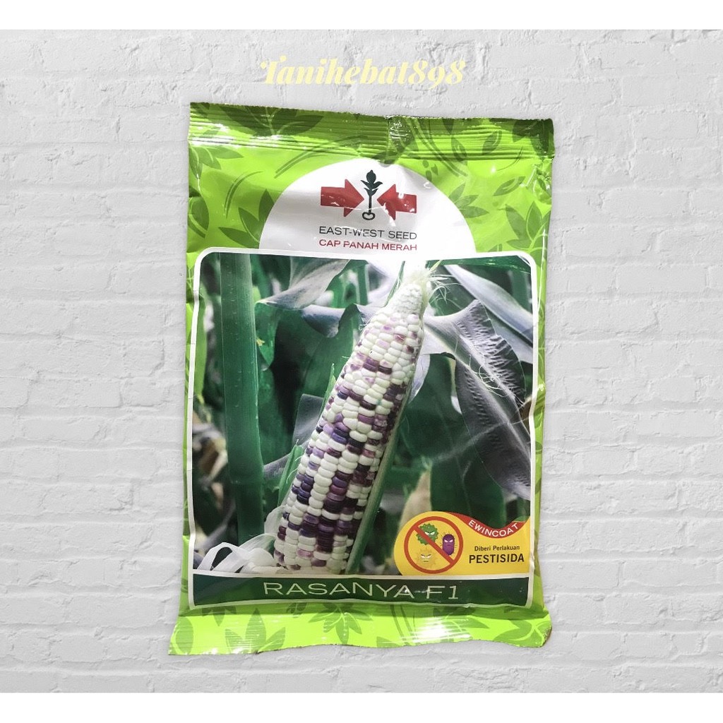 bibit tanaman benih sayuran jagung pulut rasanya 250gr
