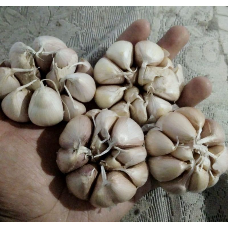

Bawang putih/ bawang putih lokal sinco 1kg/bawang lokal fresh