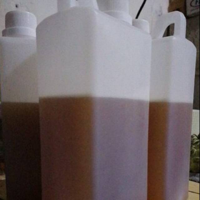 

Madu Randu Asli