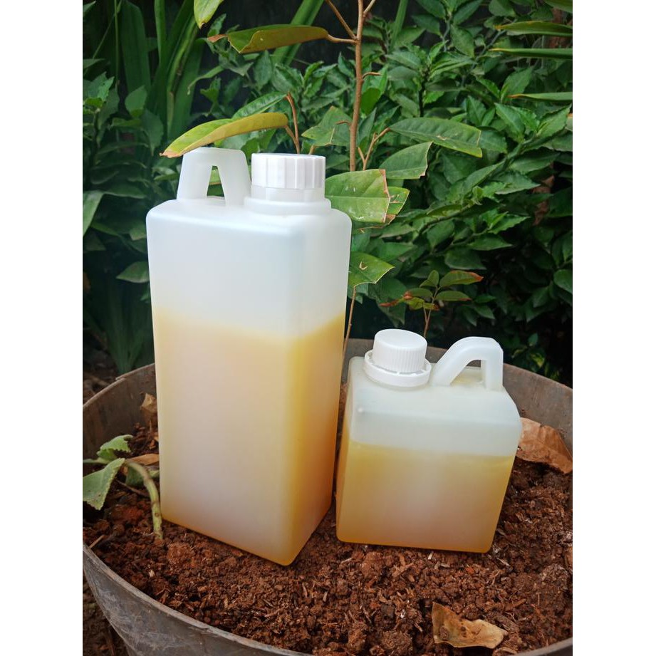 

Madu Kaliandra (Asli)