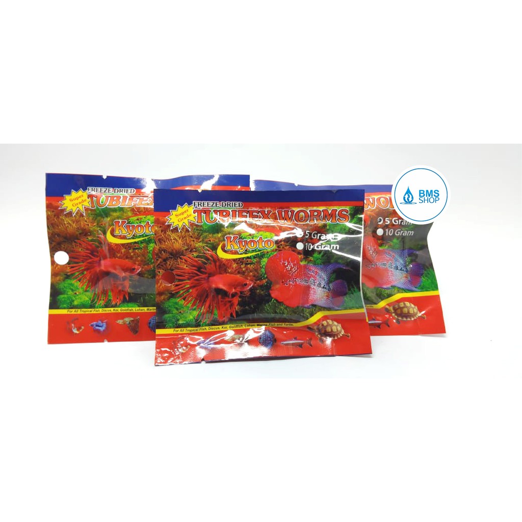 Cacing Sutra Kering Cacing Kering Tubiflex Worm AA03505