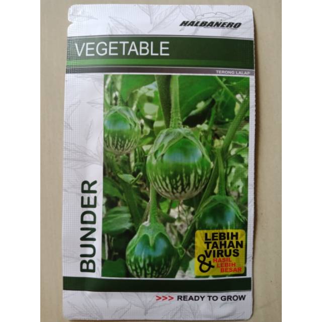 10g Benih Terong Lalap Hijau Bunder Benih Terong Bulat Benih Terong Bunder - Halbanero