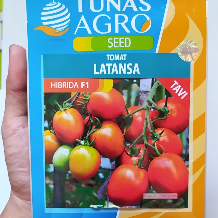 READY BENIH TOMAT LATANSA - BIBIT TANAMAN TOMAT BUAH LEBAT - BIJI SAYUR TAVI W