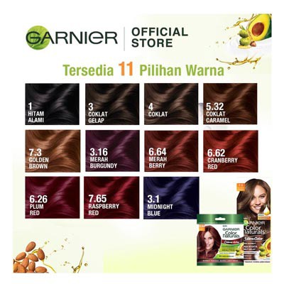 Cat Rambut Pewarna Alami GARNIER Color Natural Express Hair Color Box