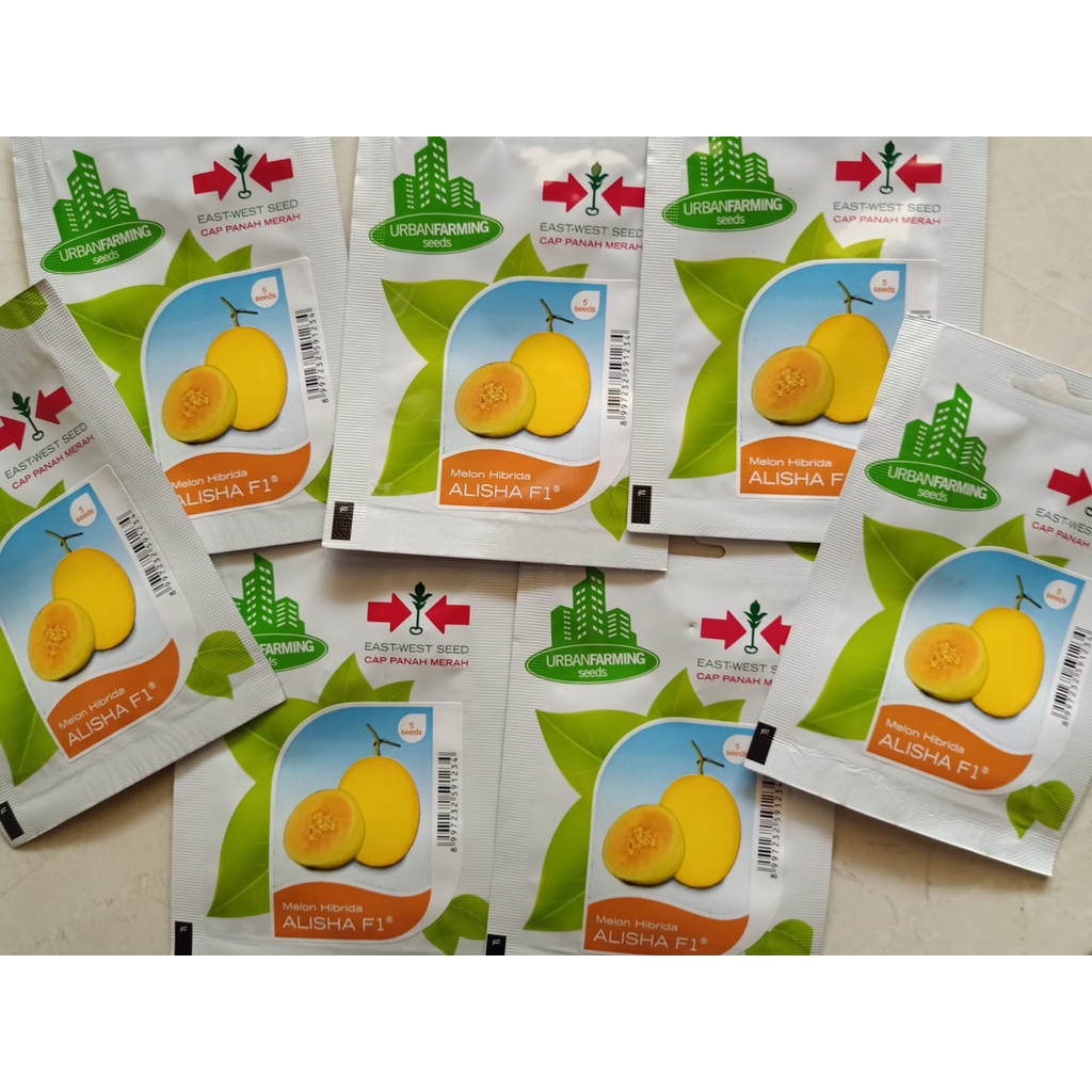 Benih Bibit Melon ALISHA F1