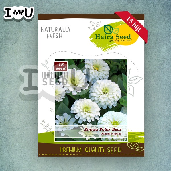 Haira Seed Bibit-BIji Bunga Zinnia Putih Polar Bear