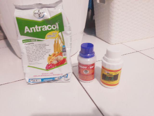 Antracol Kemasan Pabrik 250 Gram ( Fungisida )