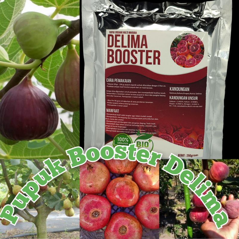 Pupuk booster buah DelimaMurah Pupuk booster buah organik non kimia pupuk cair kilat npk urea merah 