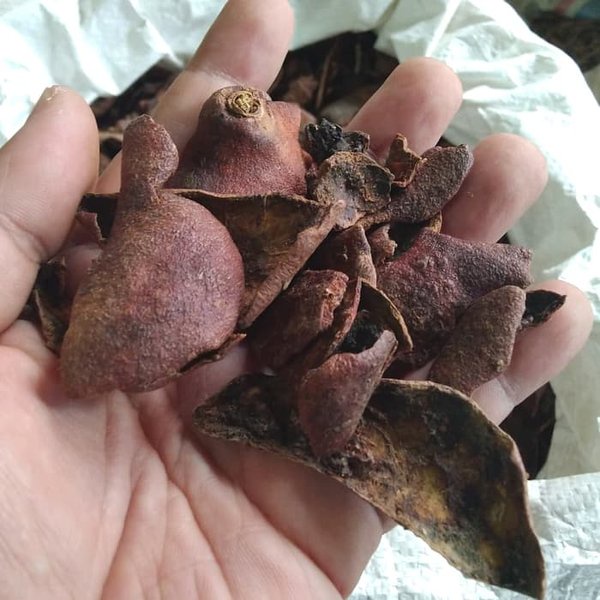 Kulit Buah Delima Kering / Kulit Delima Antioksidan Alami 100gram