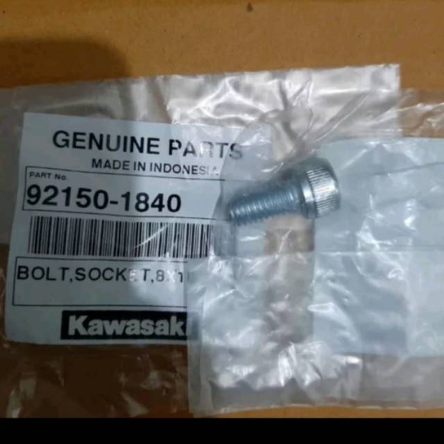 Baut Kaliper Belakang KLX 150 Original