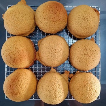 Foodpack Bening Tomat Size L ( 12 Pcs )