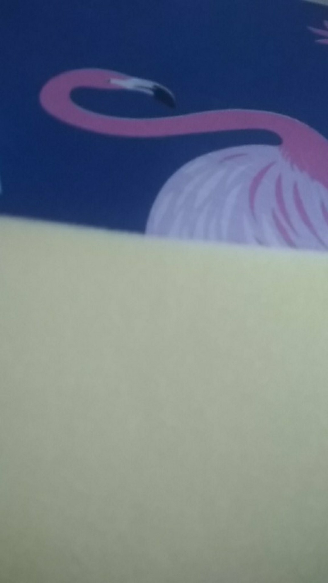 Spon Cuci  Spon Cuci Piring  Sponge Sponge Inoac Perlengkapan Rumah Busa