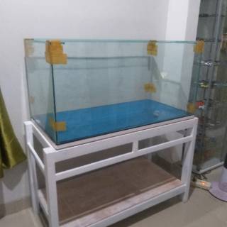  aquarium  100x50x50  set rak hollo 4x6 Shopee Indonesia