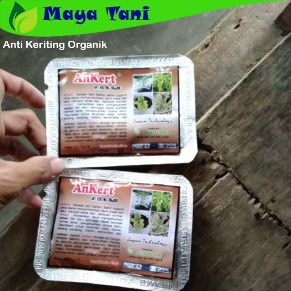 Anti Keriting Organik Ankert