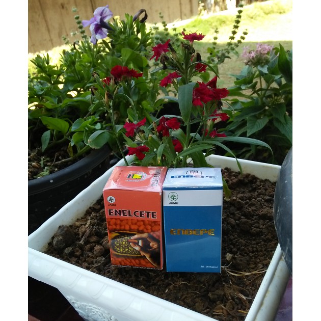 obat herbal stroke nasa/herbal sakit stroke