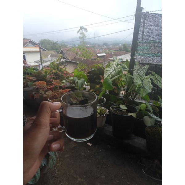 

Kopi Jawa