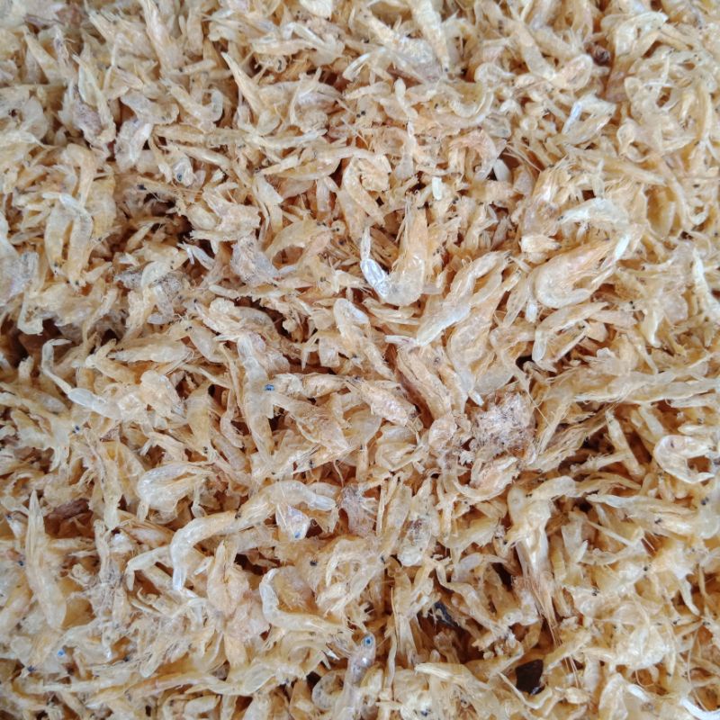 

rebon udang