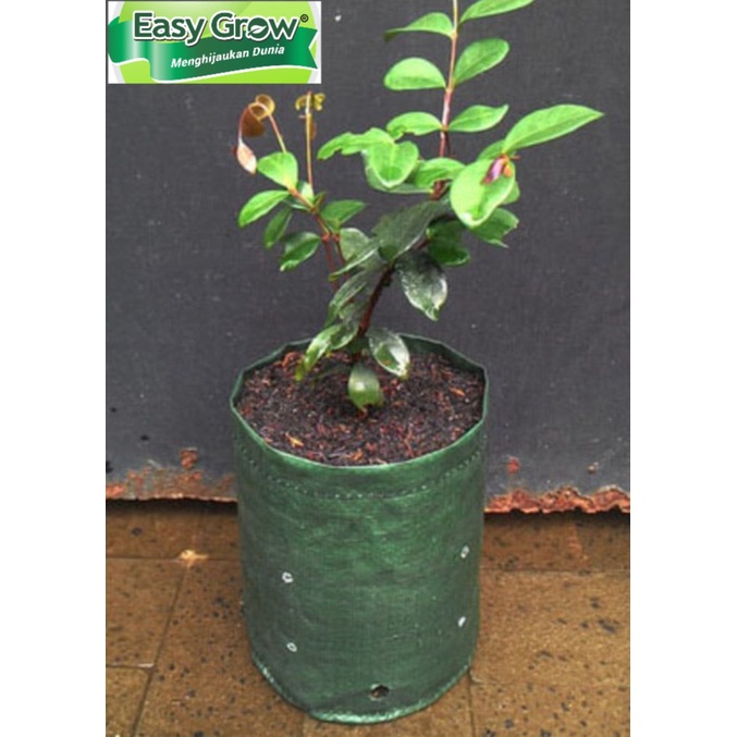 Planter bag 3 Liter no handle EASY GROW planterbag 3liter easygrow cocok u net pot / netpot hidroponik cabai / cabe / tomat planter bag