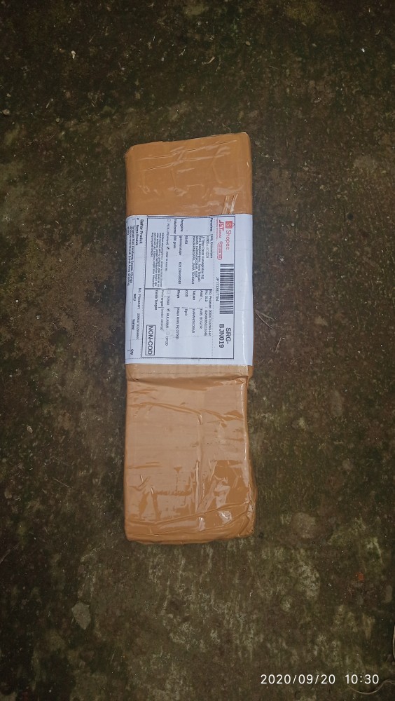 Tanaman Hias Kembang Sepatu / Bunga Hibiscus Rosa Merah (look Army Strip/ring White)