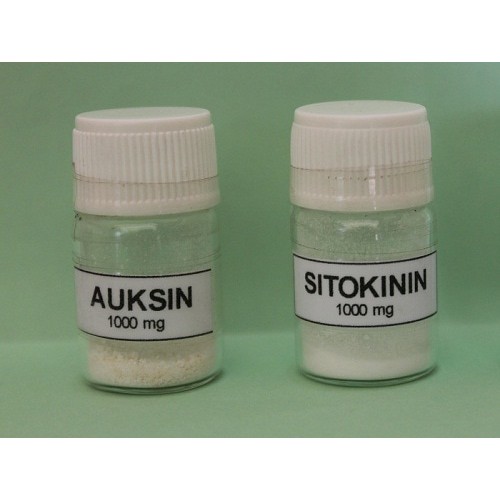 hormon tanaman serbuk murni sitokinin dan auksin