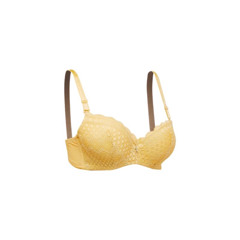 Elena Push Up Bra Cup Kecil E24535