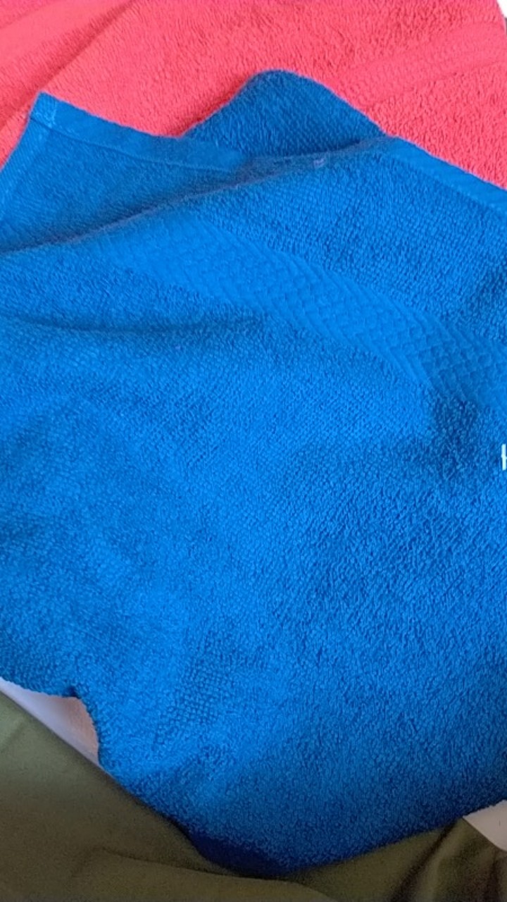 Rc Handuk Olahraga/sport Lily By Towel One Uk 30x70