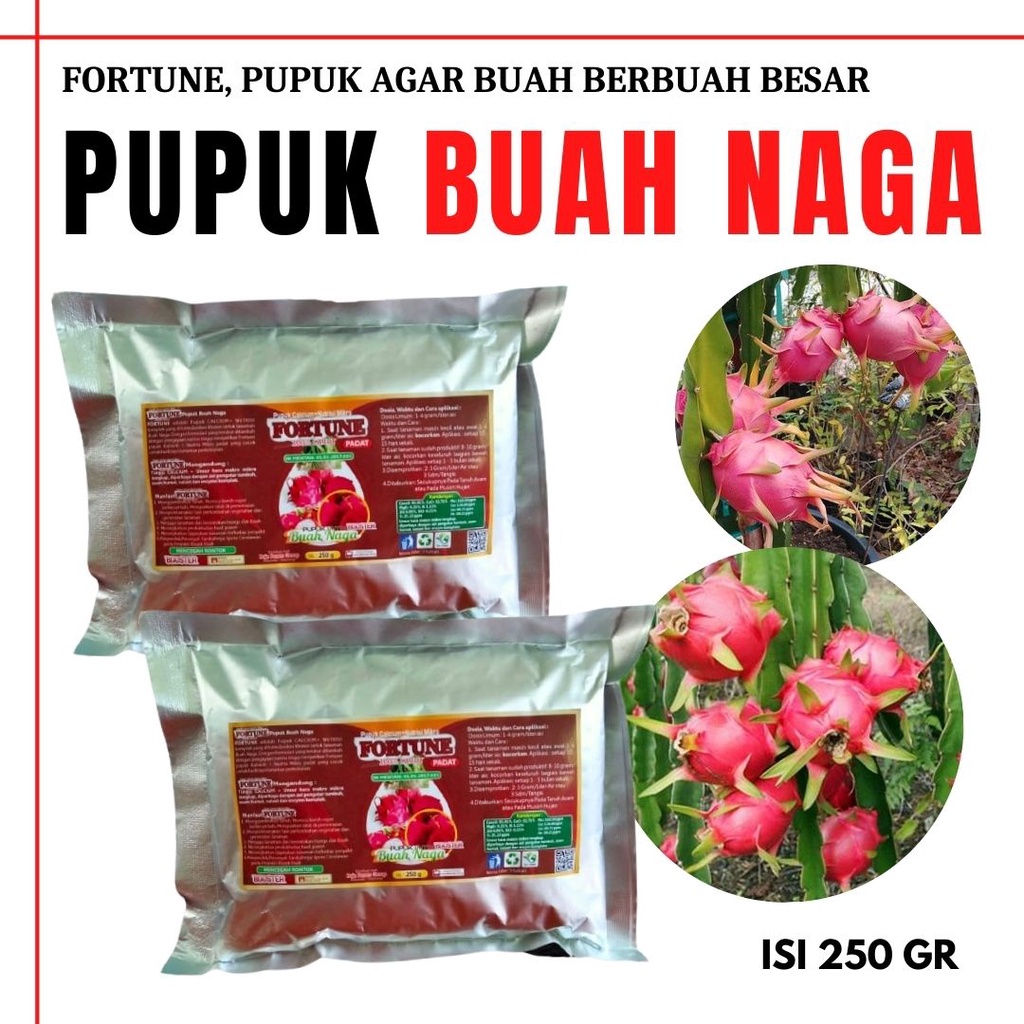 Pupuk Tabulampot Buah Naga Booster Buah Naga, Pupuk Tanaman Buah Naga