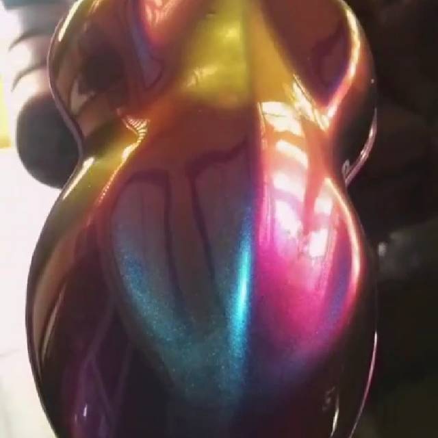 Cat bunglon chameleon