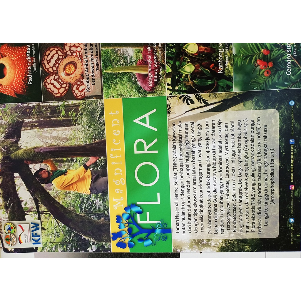 CETAK POSTER PREMIUM UV INK PRINT BIG POSTER PREMIUM UV INK CUSTOM