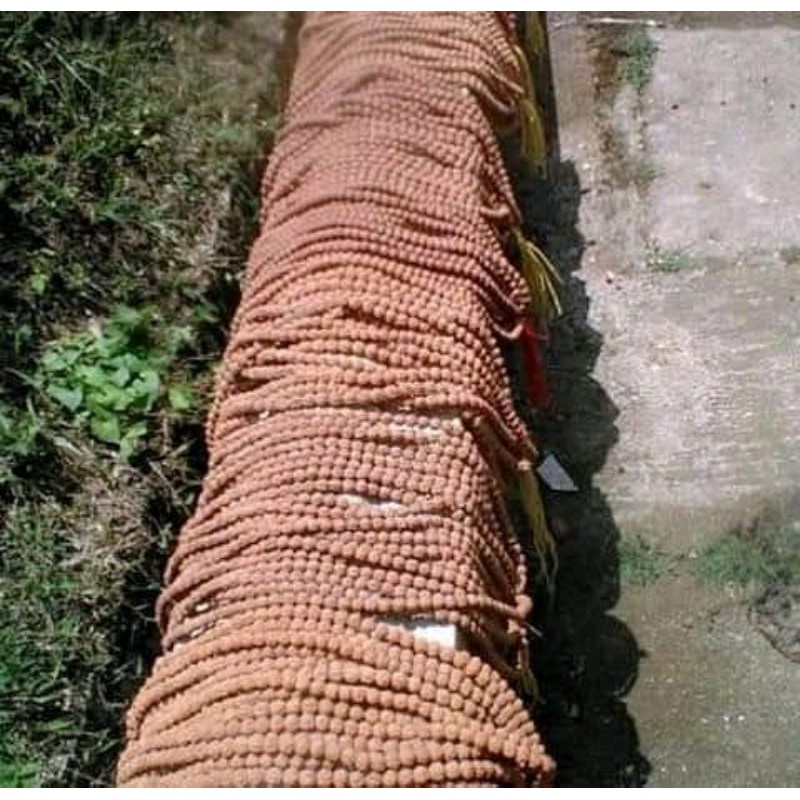 jenitri rudraksha kalung jenitri tasbih