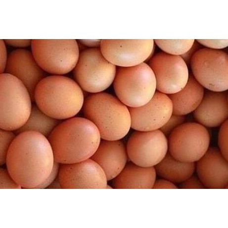 

Buruan Serbu] Telur Ayam Negeri Mentah