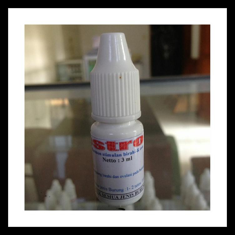 Estron Estron - Untuk Merangsang Birahi Burung Betina Terlengkap