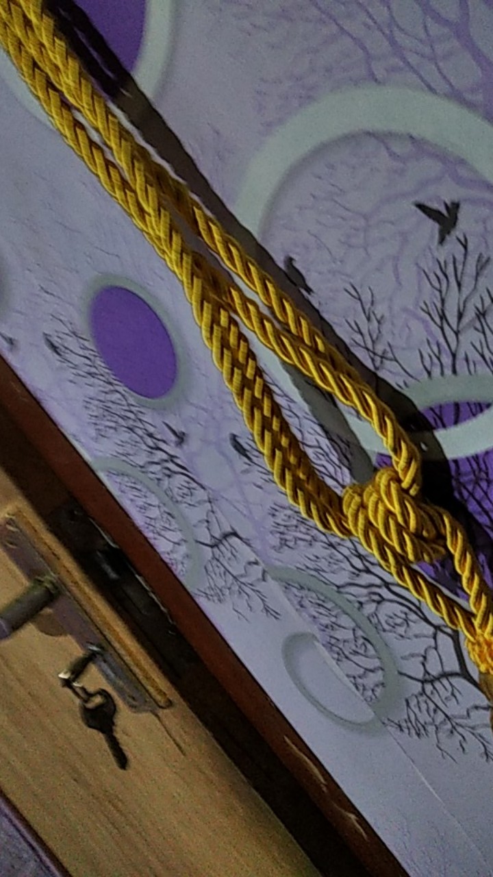 Hook Minimalis Motif Lumba Lumba Bahan Plastik Berkualitas Baik Dan Menarik