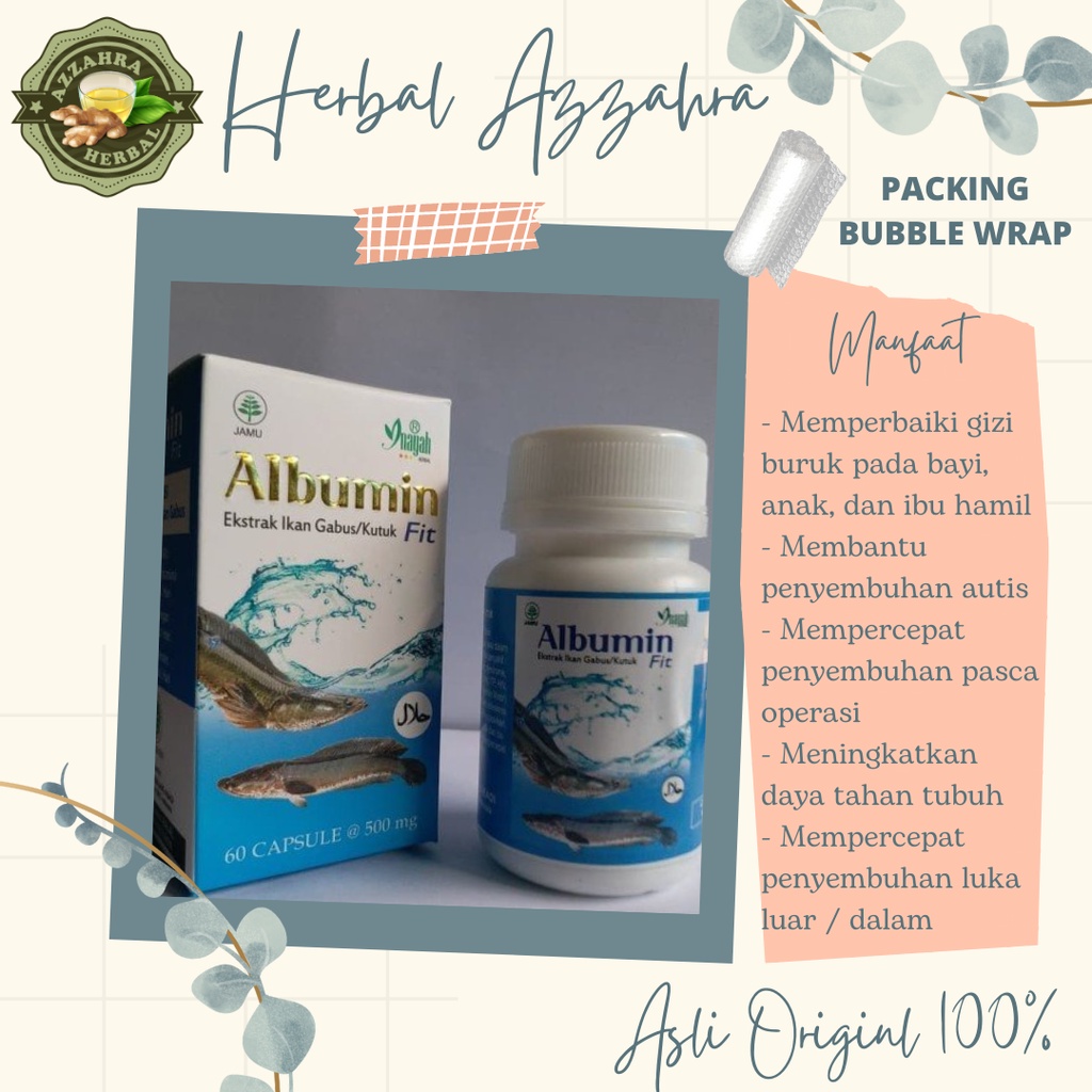 Albumin Fit Premium 5x - Mempercepat Penyembuhan Pasca Operasi - Ekstrak Ikan Gabus 60 Kapsul Albumin Fit Ekstrak Ikan Gabus / Kutuk 60 Kapsul