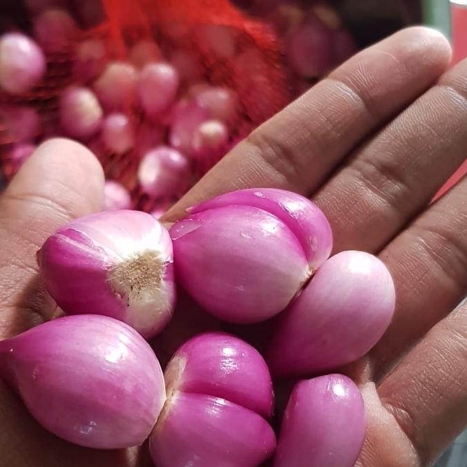 

[[COD]] Bawang Merah Brebes Kupas FREE ONGKIR Kode 569