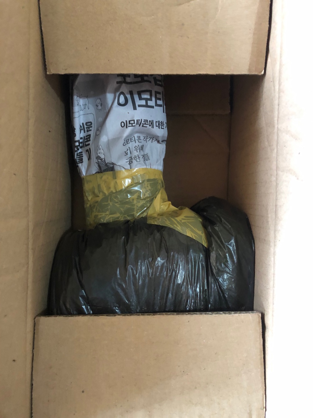 Bonggol Alocasia Zebrina Khas Lampung/longiloba (bonggol Agak Besar)